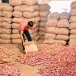 WhatsApp Image 2025-02-17 at 12.12.06 PM