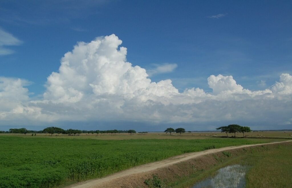 WhatsApp Image 2025-03-08 at 2.13.38 PM