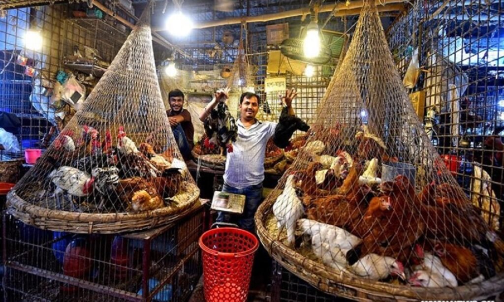 WhatsApp Image 2025-03-21 at 10.40.45 AM