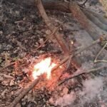 WhatsApp Image 2025-03-24 at 2.07.12 PM