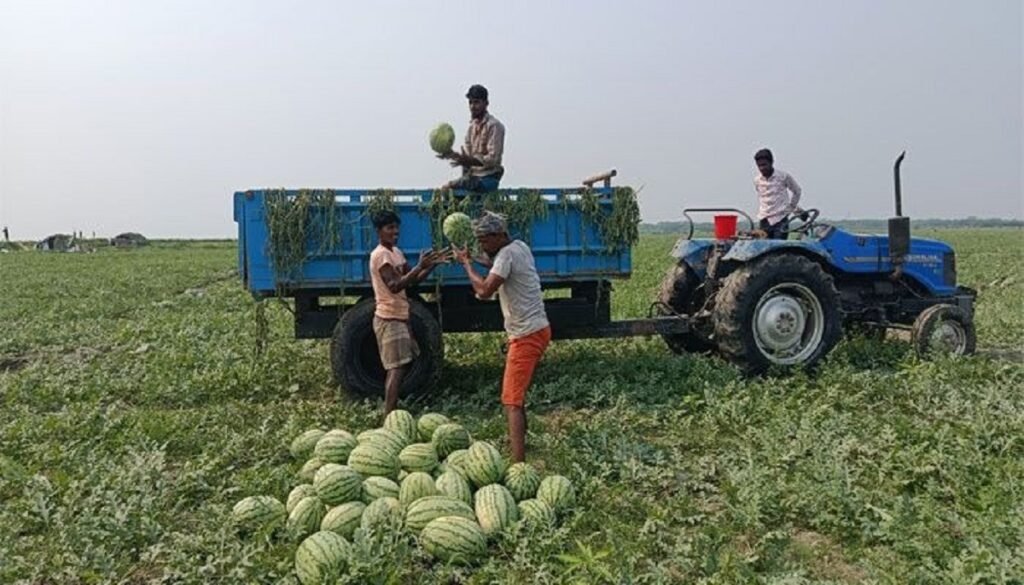 WhatsApp Image 2025-03-26 at 11.56.09 AM