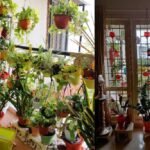 WhatsApp Image 2025-04-03 at 11.43.50 AM