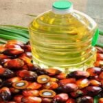 WhatsApp Image 2025-04-22 at 11.32.13 AM