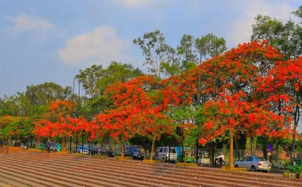 WhatsApp Image 2025-04-29 at 11.28.05 AM