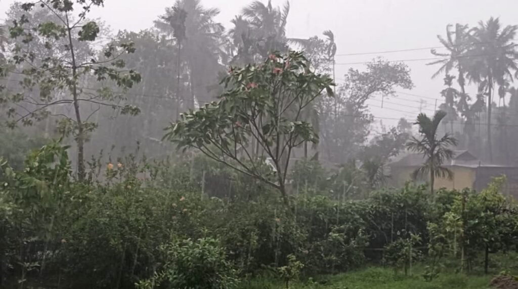 WhatsApp Image 2025-05-02 at 10.56.36 AM