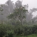 WhatsApp Image 2025-05-02 at 10.56.36 AM