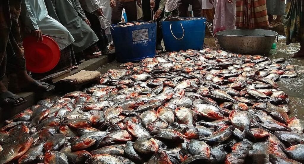 WhatsApp Image 2025-05-02 at 11.03.20 AM