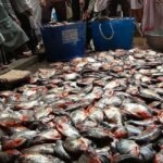 WhatsApp Image 2025-05-02 at 11.03.20 AM