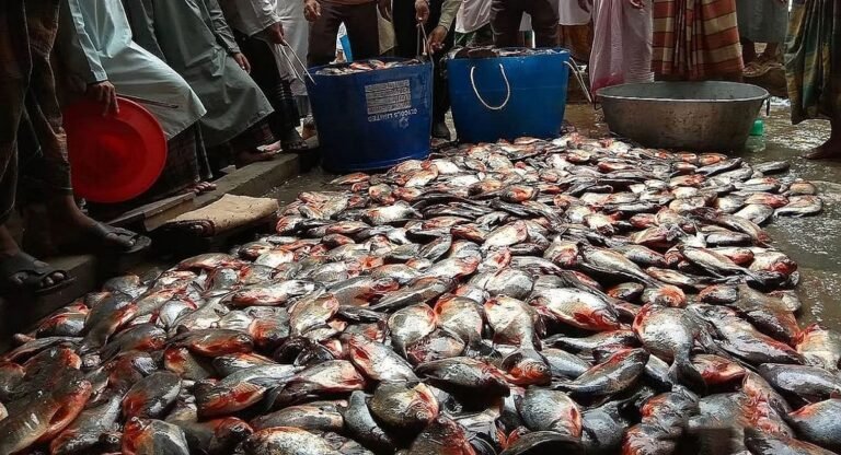 WhatsApp Image 2025-05-02 at 11.03.20 AM