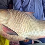 WhatsApp Image 2025-05-03 at 2.12.19 PM