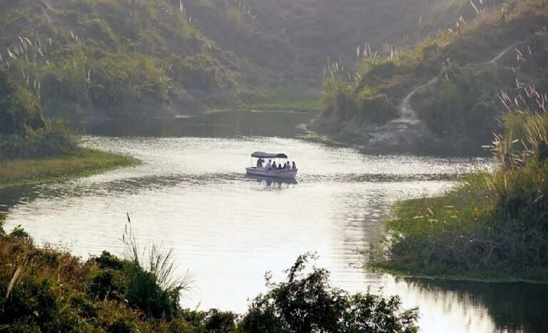 WhatsApp Image 2025-05-06 at 10.43.37 AM