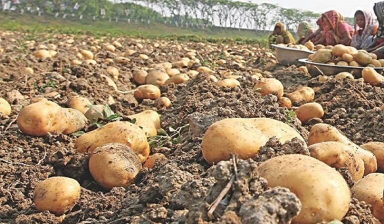 WhatsApp Image 2025-05-08 at 10.42.26 AM