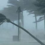 WhatsApp Image 2025-05-08 at 10.46.52 AM