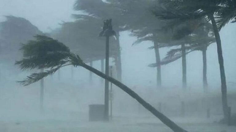 WhatsApp Image 2025-05-08 at 10.46.52 AM