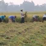 WhatsApp Image 2025-05-09 at 10.57.56 AM