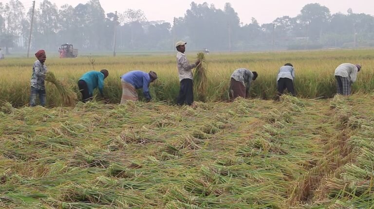 WhatsApp Image 2025-05-09 at 10.57.56 AM