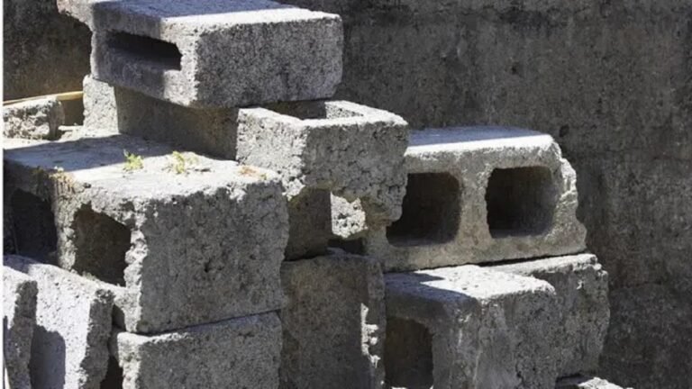 WhatsApp Image 2025-05-14 at 12.54.26 PM