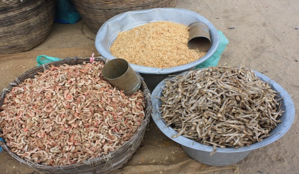 WhatsApp Image 2025-05-15 at 11.02.39 AM