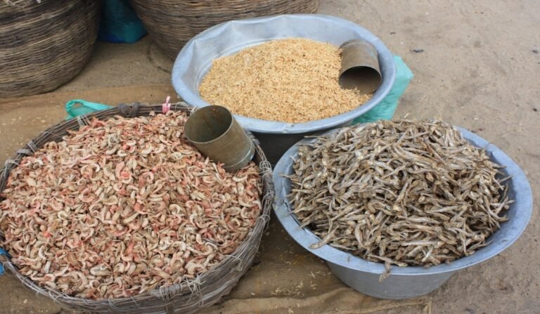 WhatsApp Image 2025-05-15 at 11.02.39 AM