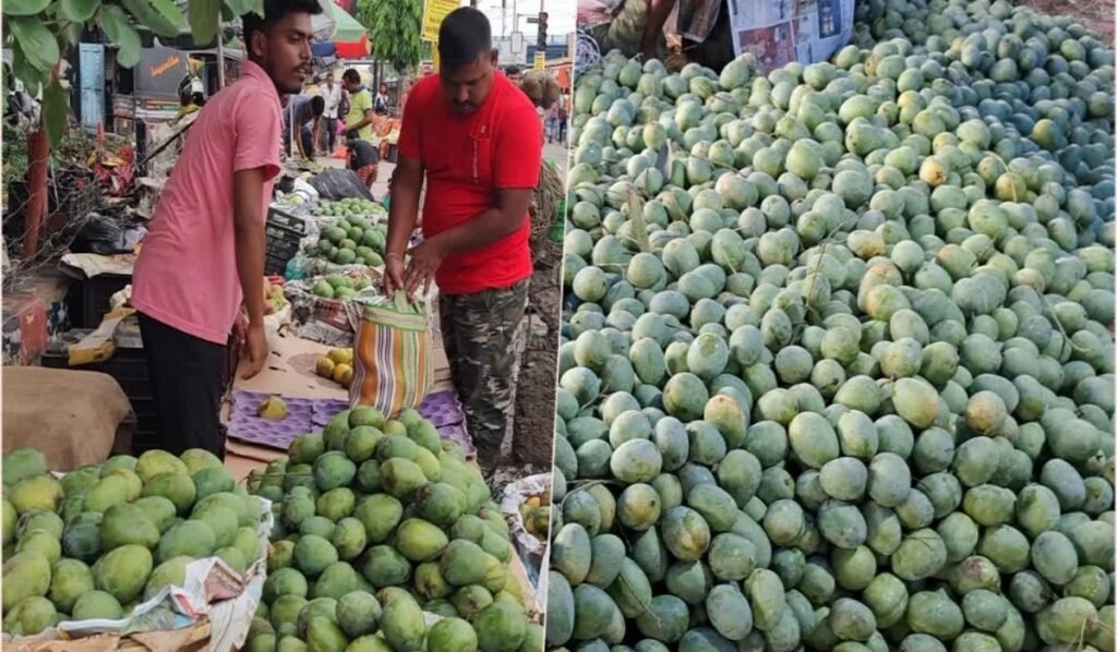 WhatsApp Image 2025-05-20 at 11.36.44 AM