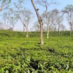 WhatsApp Image 2025-05-21 at 12.54.01 PM