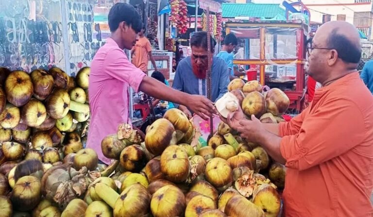 WhatsApp Image 2025-05-27 at 11.11.31 AM