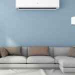 WhatsApp Image 2025-05-27 at 11.23.17 AM