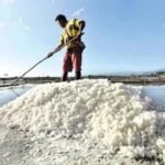 WhatsApp Image 2025-05-28 at 12.21.14 PM