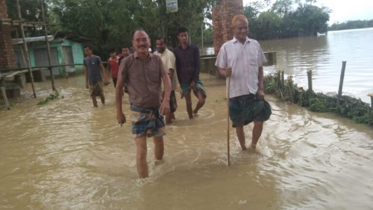 WhatsApp Image 2025-06-02 at 1.29.46 PM