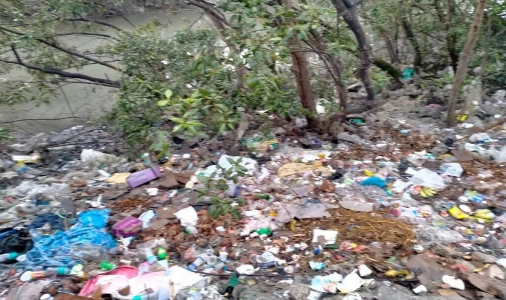 WhatsApp Image 2025-06-03 at 10.55.55 AM