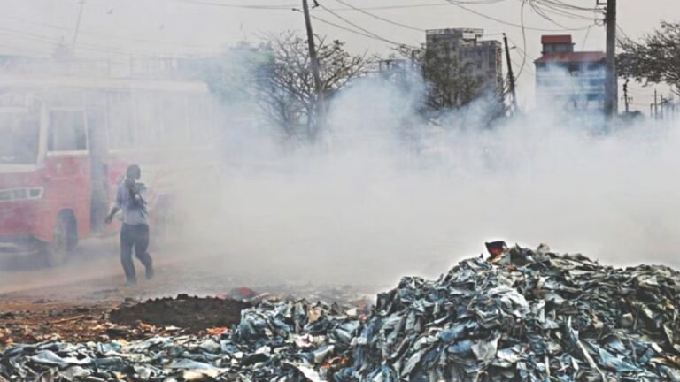 WhatsApp Image 2025-06-05 at 11.13.44 AM