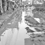 WhatsApp Image 2025-06-06 at 12.44.41 PM