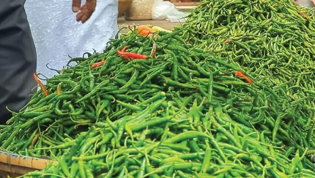 WhatsApp Image 2025-06-06 at 12.51.07 PM