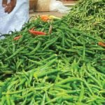 WhatsApp Image 2025-06-06 at 12.51.07 PM