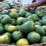 WhatsApp Image 2025-06-16 at 12.30.12 PM