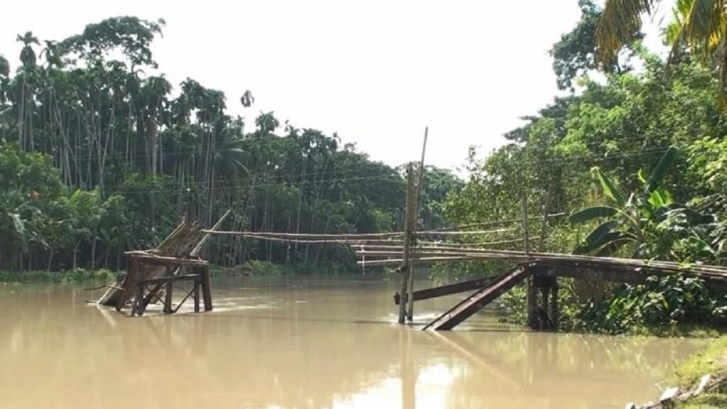 WhatsApp Image 2025-06-21 at 3.15.51 PM