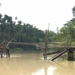 WhatsApp Image 2025-06-21 at 3.15.51 PM