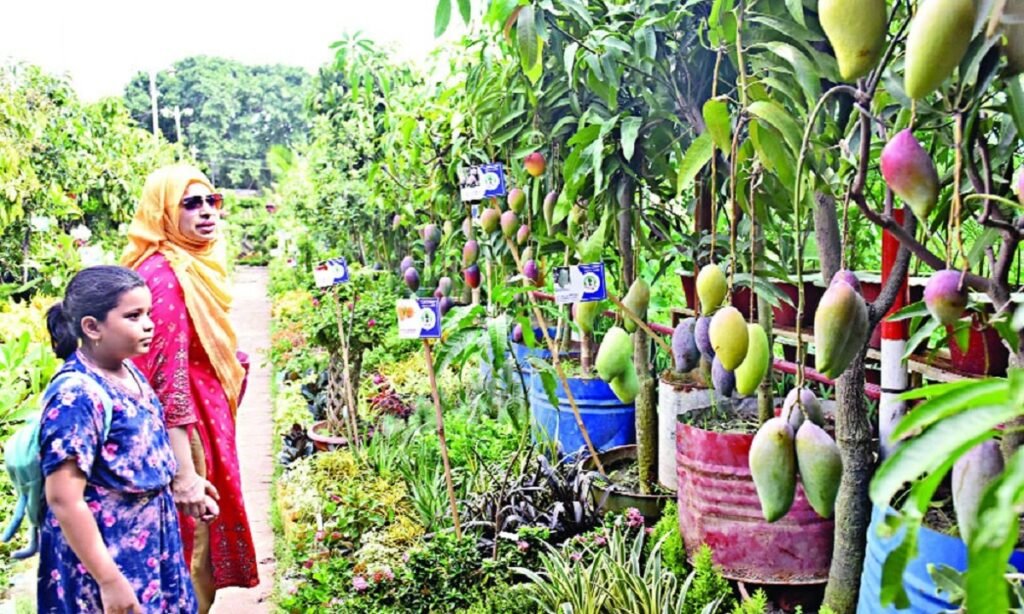 WhatsApp Image 2025-06-25 at 2.55.41 PM