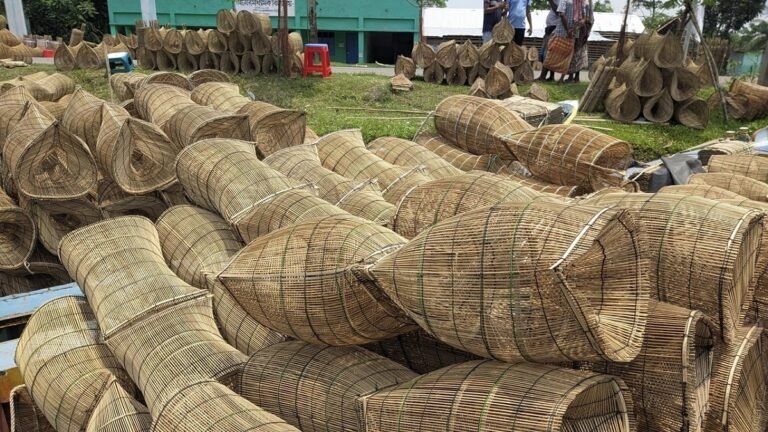 WhatsApp Image 2025-06-25 at 3.13.04 PM