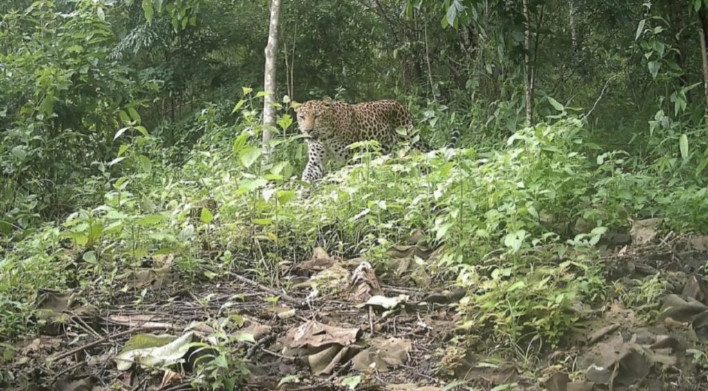 WhatsApp Image 2025-06-26 at 1.12.39 PM