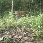 WhatsApp Image 2025-06-26 at 1.12.39 PM