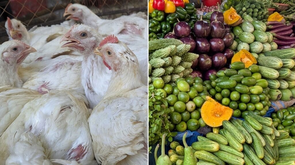 WhatsApp Image 2025-07-04 at 1.02.58 PM