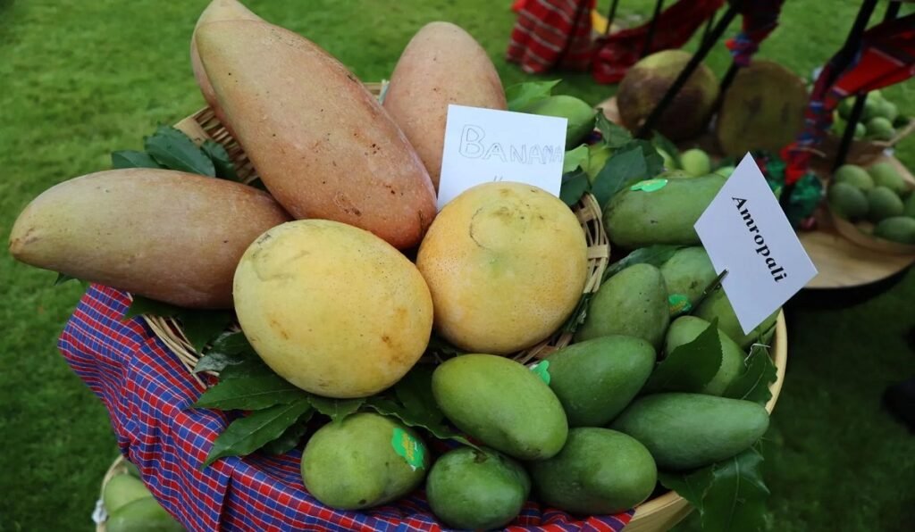 WhatsApp Image 2025-07-09 at 4.27.14 PM