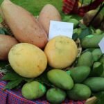 WhatsApp Image 2025-07-09 at 4.27.14 PM