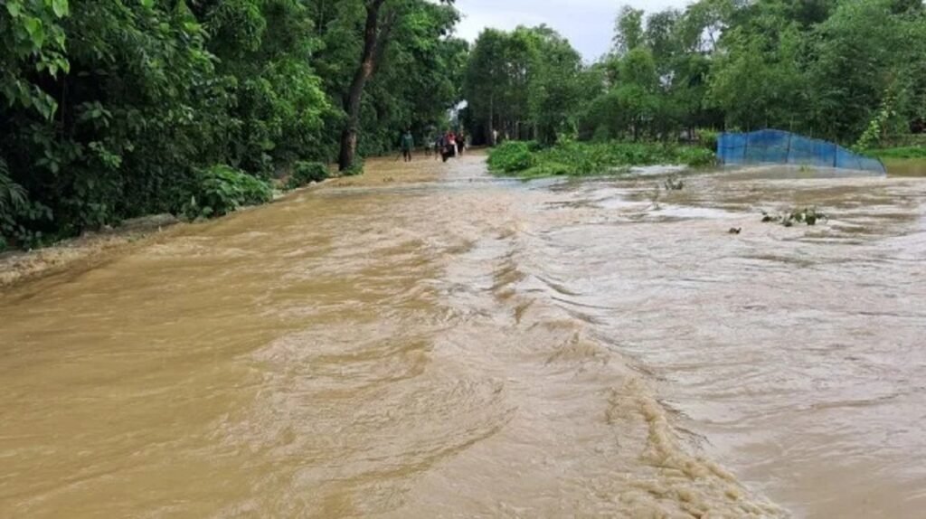 WhatsApp Image 2025-07-11 at 3.50.06 PM