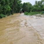 WhatsApp Image 2025-07-11 at 3.50.06 PM