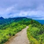 WhatsApp Image 2025-07-12 at 2.19.07 PM