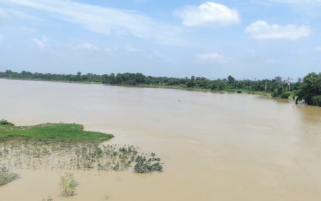 WhatsApp Image 2025-07-12 at 2.39.39 PM