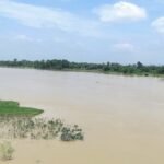 WhatsApp Image 2025-07-12 at 2.39.39 PM