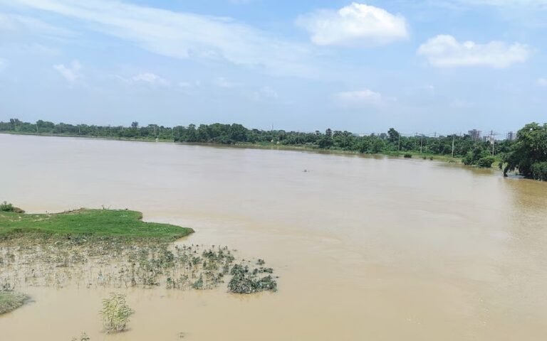 WhatsApp Image 2025-07-12 at 2.39.39 PM